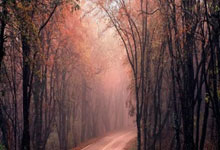 配资炒股app最新版本:配资首选门户网站-罕见主动控价！飞天茅台价格“V字反转”再反转……